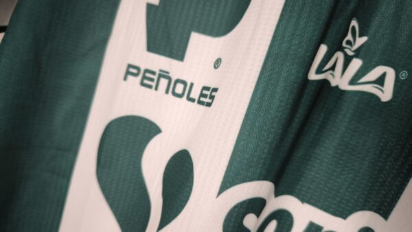 Prima Maglia Club Santos Laguna 24/25 (Versione Fan) - Taglia M - immagine 5